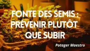 Fonte des semis : prévenir plutôt que subir - conseils Potager Maestro pour protéger vos semis en godets