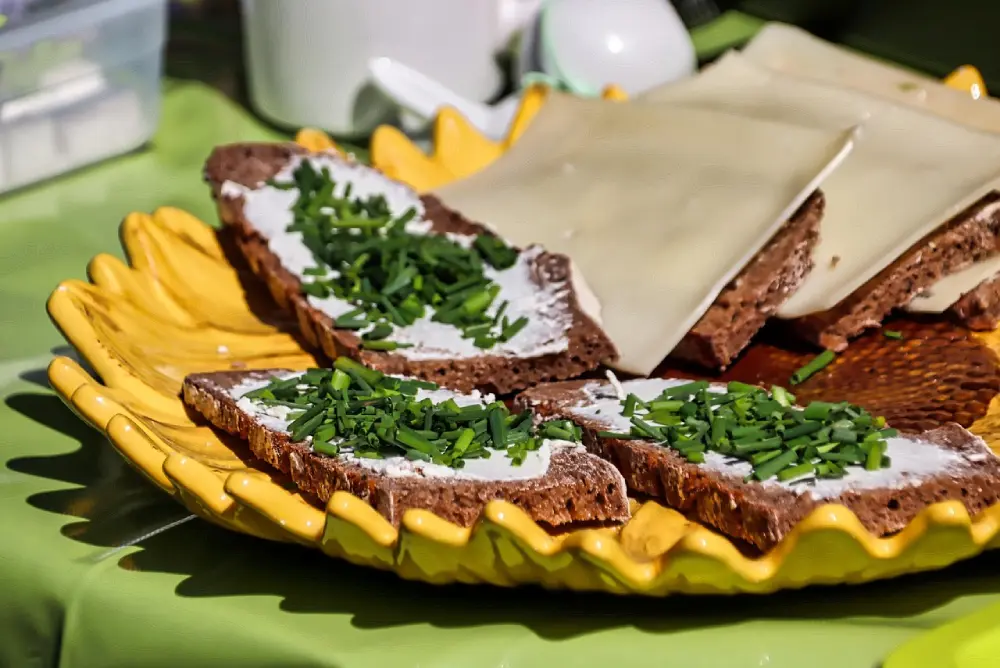 Tartines de pain avec fromage frais et ciboulette fraîche ciselée du potager