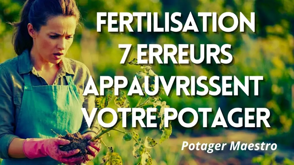 7 erreurs de fertilisation qui appauvrissent votre potager