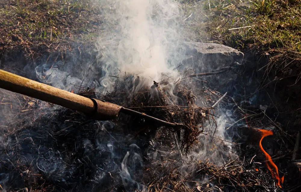 Fumier frais en décomposition avec vapeur de chaleur - risque de brûlure des racines au potager