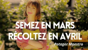 Légumes à semer en mars pour récolter en avril-mai : guide des semis à cycle court au potager