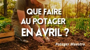 Jardinier qui plante des semis au potager en avril dans un sol meuble ensoleillé