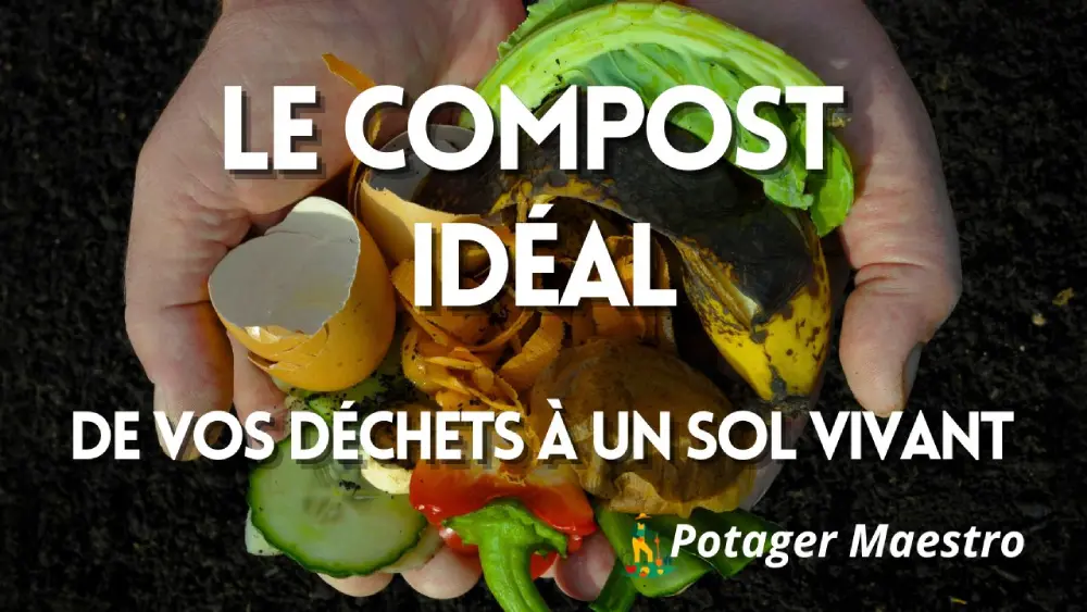 Comment réussir son compost : méthode, équilibre et pratiques de terrain