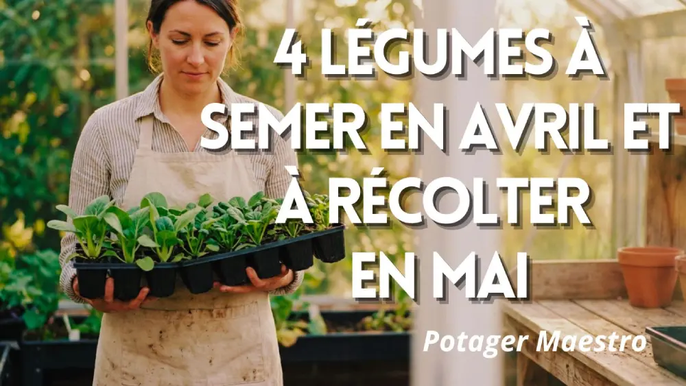 Semez en avril, récoltez en mai : 4 légumes à ne pas rater