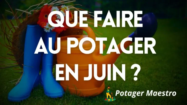 Guide du potager en juin avec bottes de pluie, chapeau de paille et arrosoir orange sur pelouse