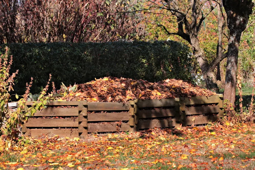 Composteur bois rempli de feuilles mortes pour paillage potager, préparation matière organique automnale