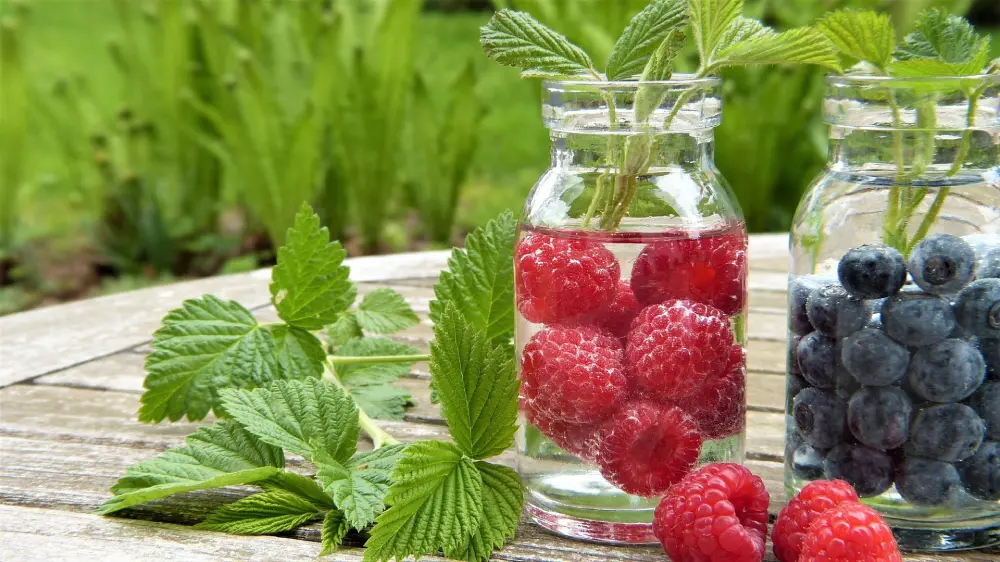 Framboises et myrtilles fraîches du potager dans des bocaux en verre avec feuilles de framboisier
