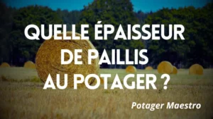 Quelle épaisseur de paillis au potager familial, guide complet Potager Maestro sur ballots de paille en champ