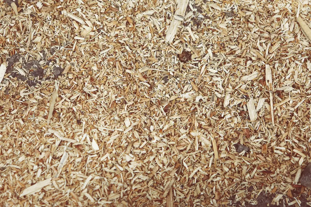 Paillis BRF bois raméal fragmenté étalé en couche fine au potager, épaisseur recommandée 3 à 7 cm