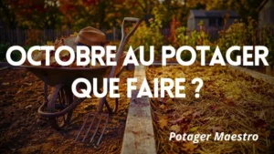 Brouette de feuilles mortes et fourche-bêche devant une planche de potager paillée en octobre.